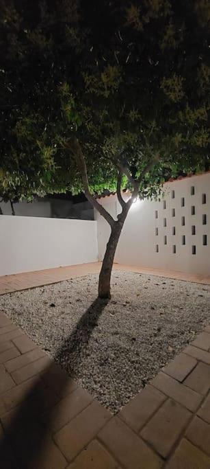 Casa D'abela * Abela